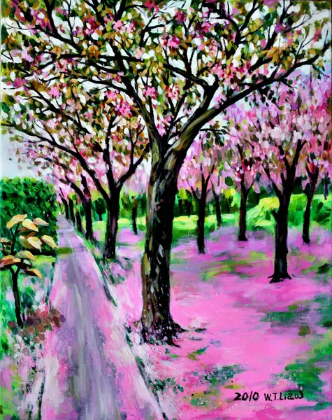櫻花毯-A carpet of fallen petals