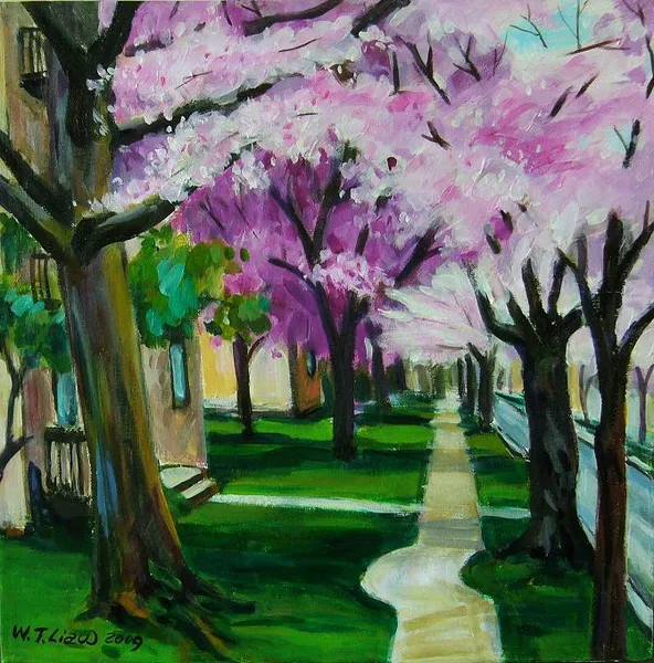 櫻花走道-A corridor of cherry blossoms