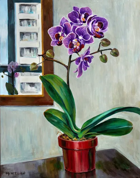鏡前蘭花-Orchid before a mirror