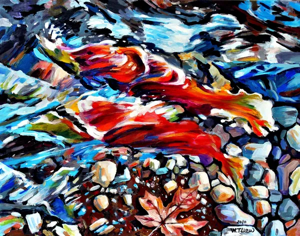鮭魚洄游-Return of the salmon