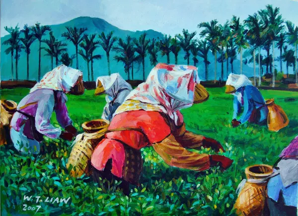 採茶女-The tea gatherers