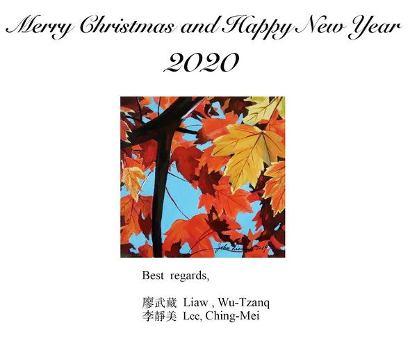 2020 Meryy Christmas-Happy New Year