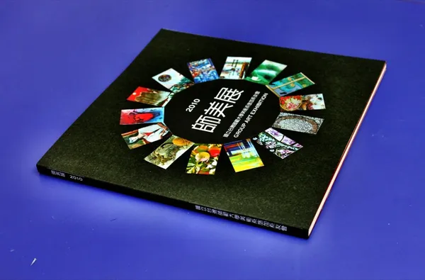 2010 Picture album