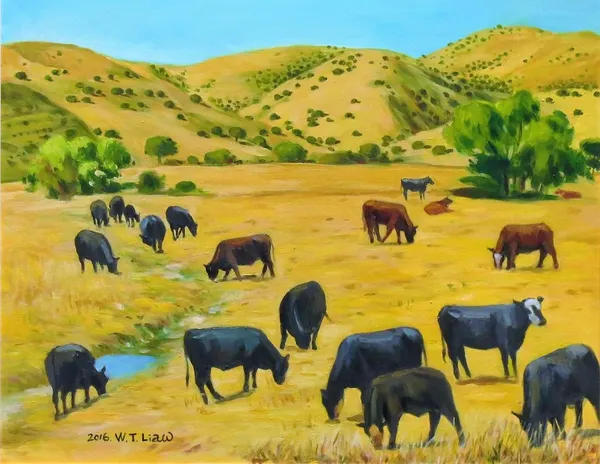 金黃色草原-Golden Grassland