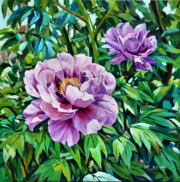 花開富貴-Peony