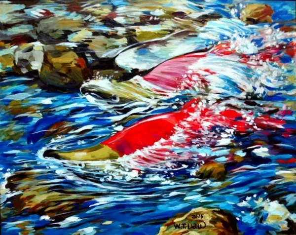 鮭魚返鄉-Salmon return