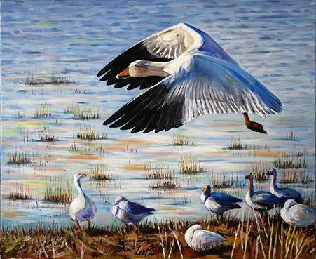 2021 獨飛 Flying solo 51x61cm.Oil on canvas